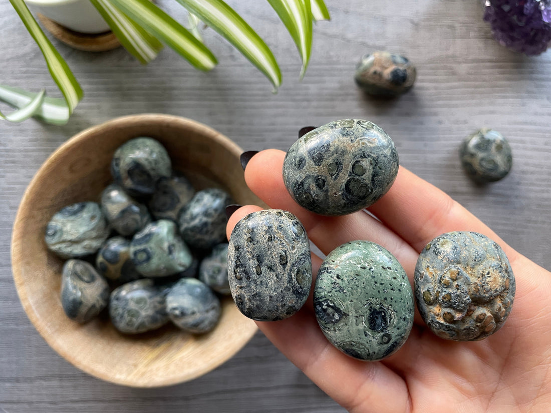 Exploring the Mystical Beauty of Kambaba Jasper: A Stone of Serenity and Protection