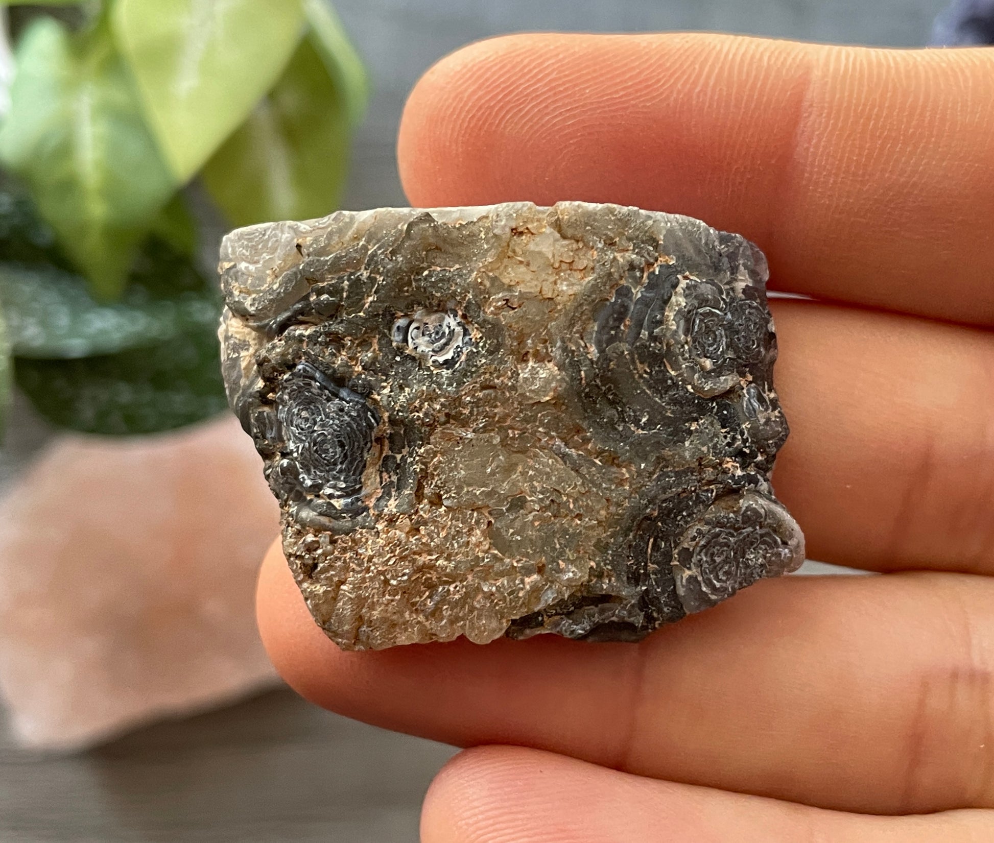 Natural Mini Oco Geode Crystal - V side