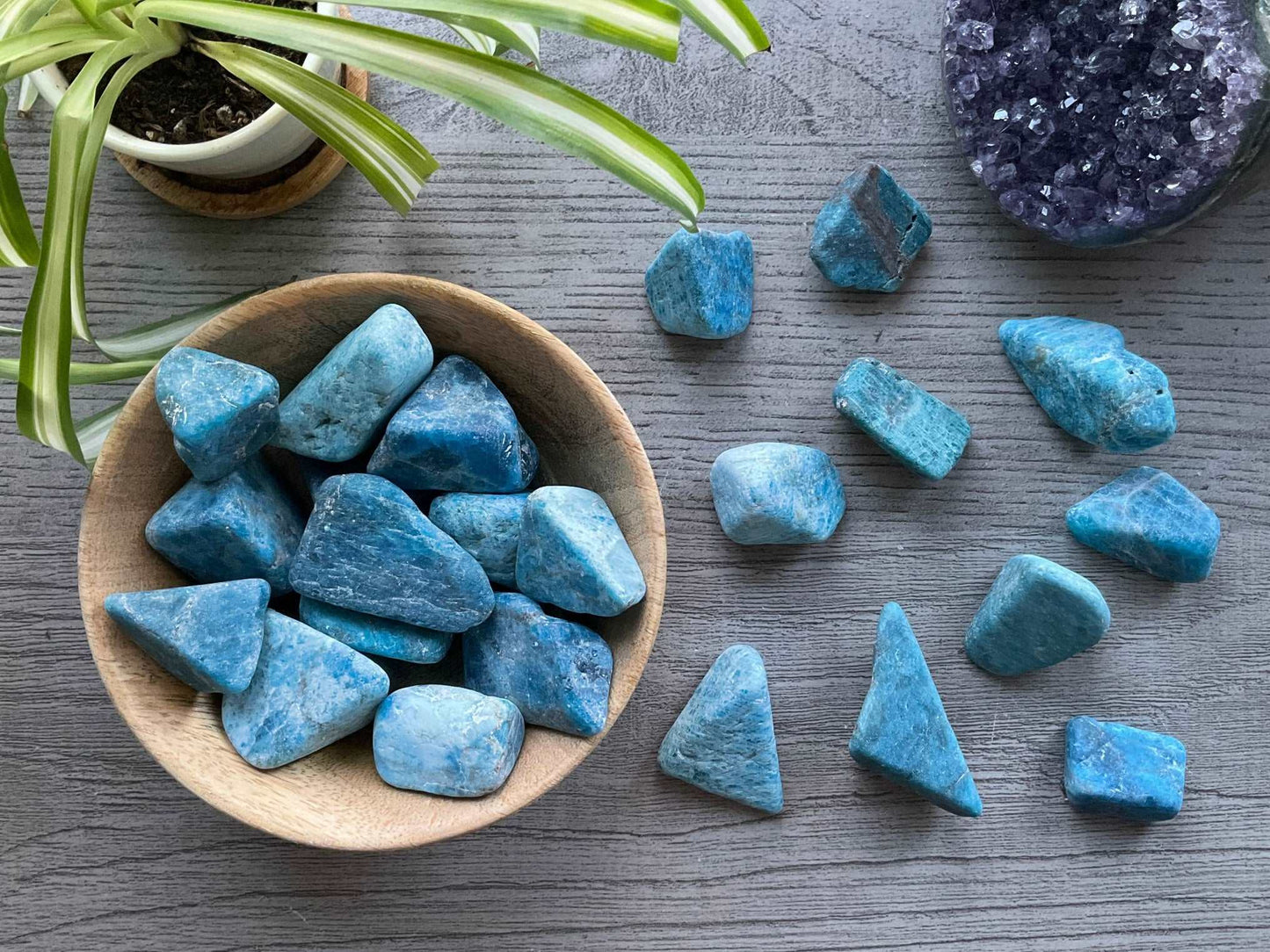 Pictured are various Blue Apatite Tumbled Stone (Large)apatite tumbled stones.