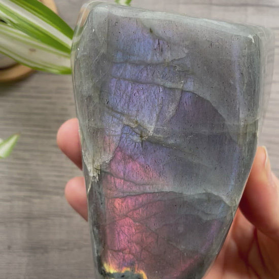 Pictured is a large labradorite freeform with a purple flash. Purple/Pink Flash Labradorite Freeform .65kg - The Wandering Fox Emporium, Your Crystal Store video