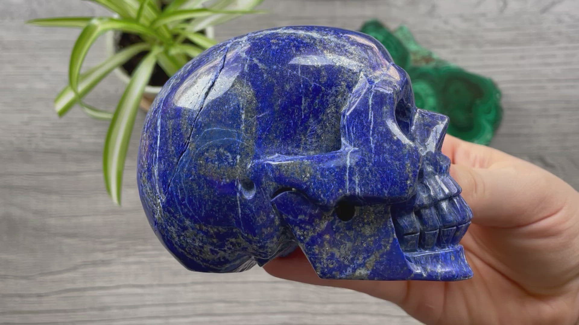 Lapis Lazuli Crystal Skull .85kg - The Wandering Fox Emporium, Your Metaphysical Store video