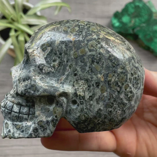Kambaba Jasper Crystal Skull .55kg - The Wandering Fox Emporium, Your Metaphysical Store video