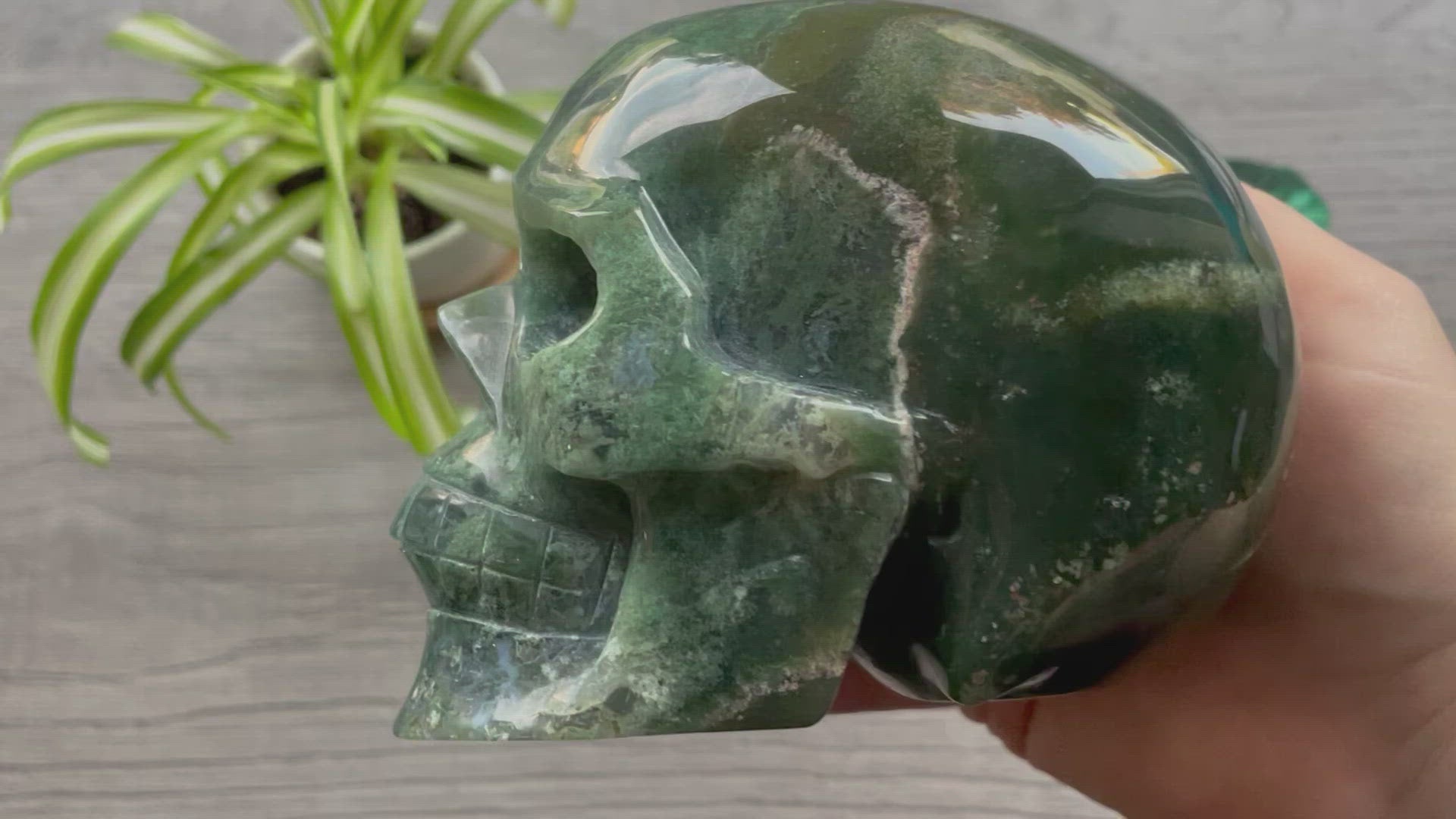 Moss Agate Crystal Skull with Druzy (1.3kg) - The Wandering Fox Emporium, Your Metaphysical Store video