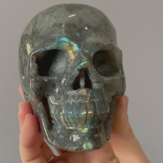 Labradorite Crystal Skull 1.15kg (Purple Rainbow) - The Wandering Fox Emporium, Your Metaphysical Store video