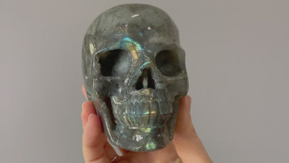 Labradorite Crystal Skull 1.15kg (Purple Rainbow) - The Wandering Fox Emporium, Your Metaphysical Store video