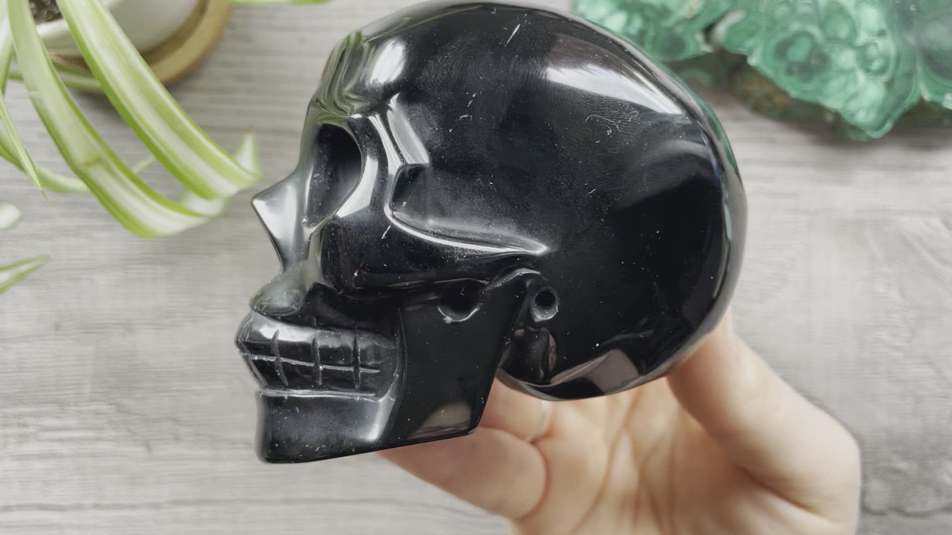 Black Obsidian Crystal Skull .5kg - The Wandering Fox Emporium, Your Metaphysical Store video