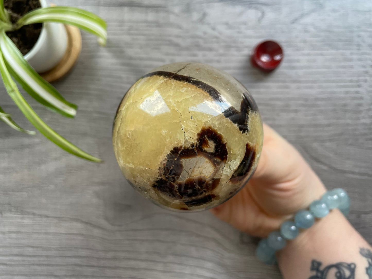Septarian Sphere 62mm - The Wandering Fox Emporium, Your Crystal Store