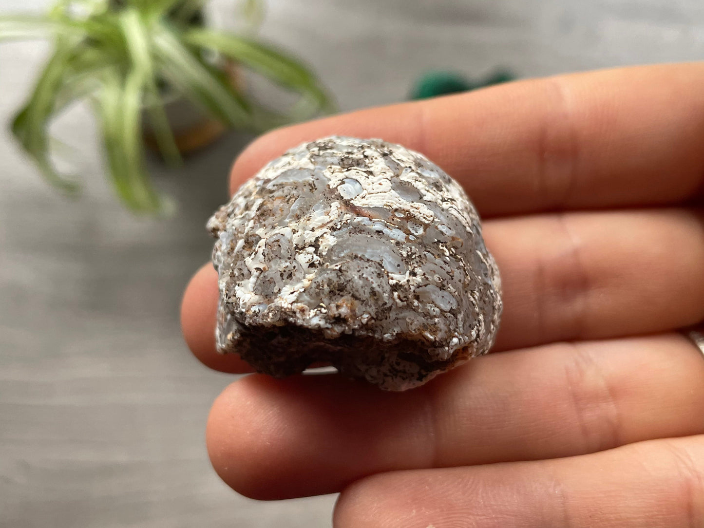 Natural Oco Geode Crystal - G bottom