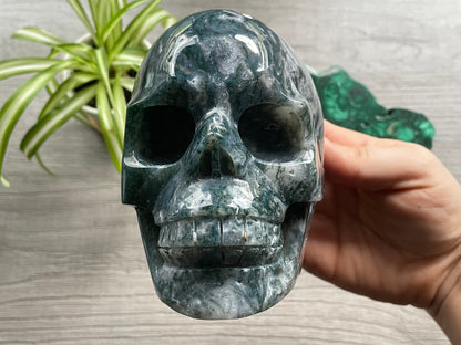 Moss Agate Skull (1.35kg) - The Wandering Fox Emporium, Your Metaphysical Store front