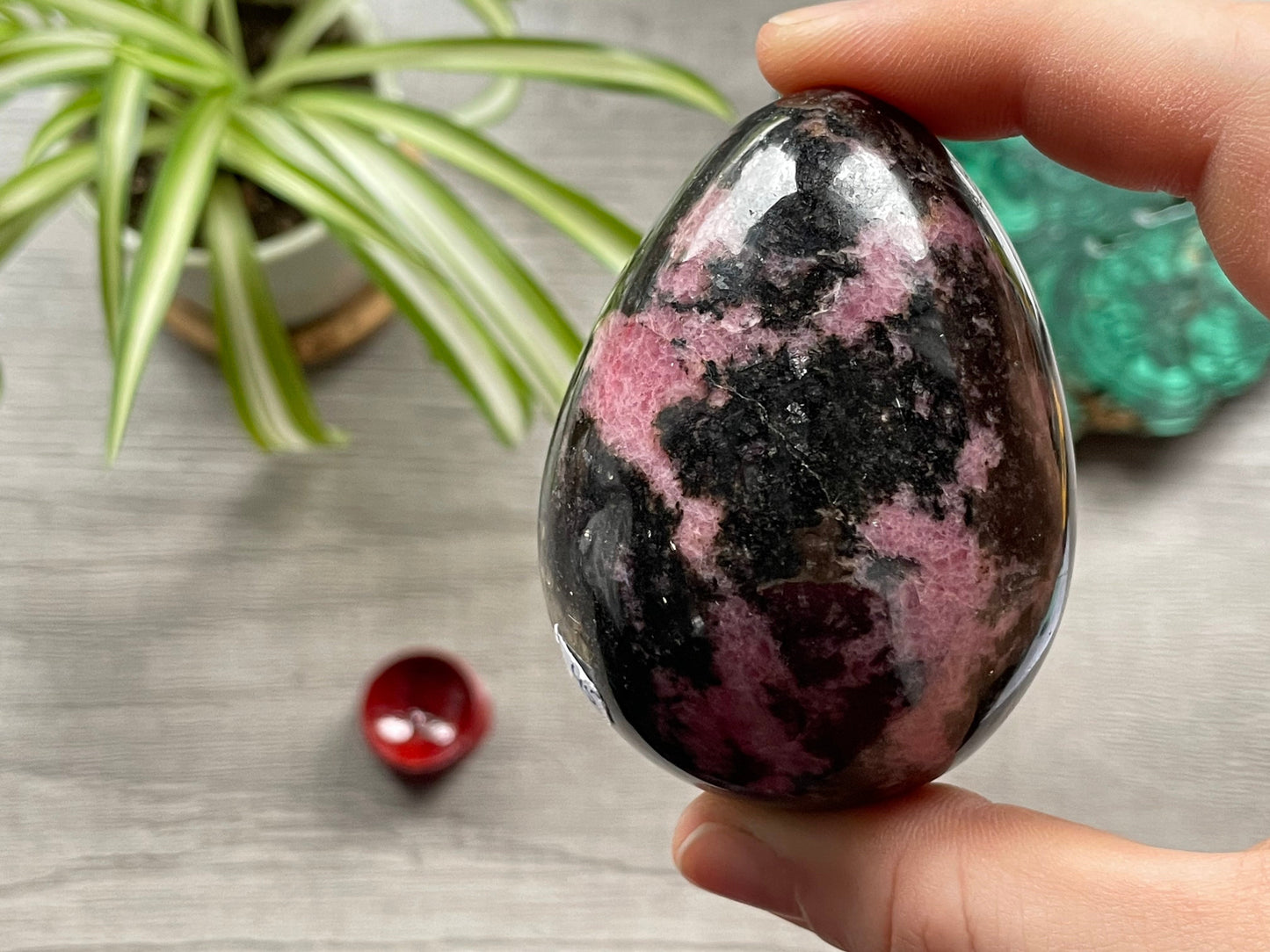 Rhodonite Crystal Egg (C) - The Wandering Fox Emporium, Your Crystal Store