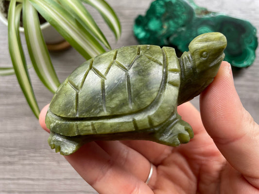 Xiuyan "Jade" Turtle (B) Crystal Carving