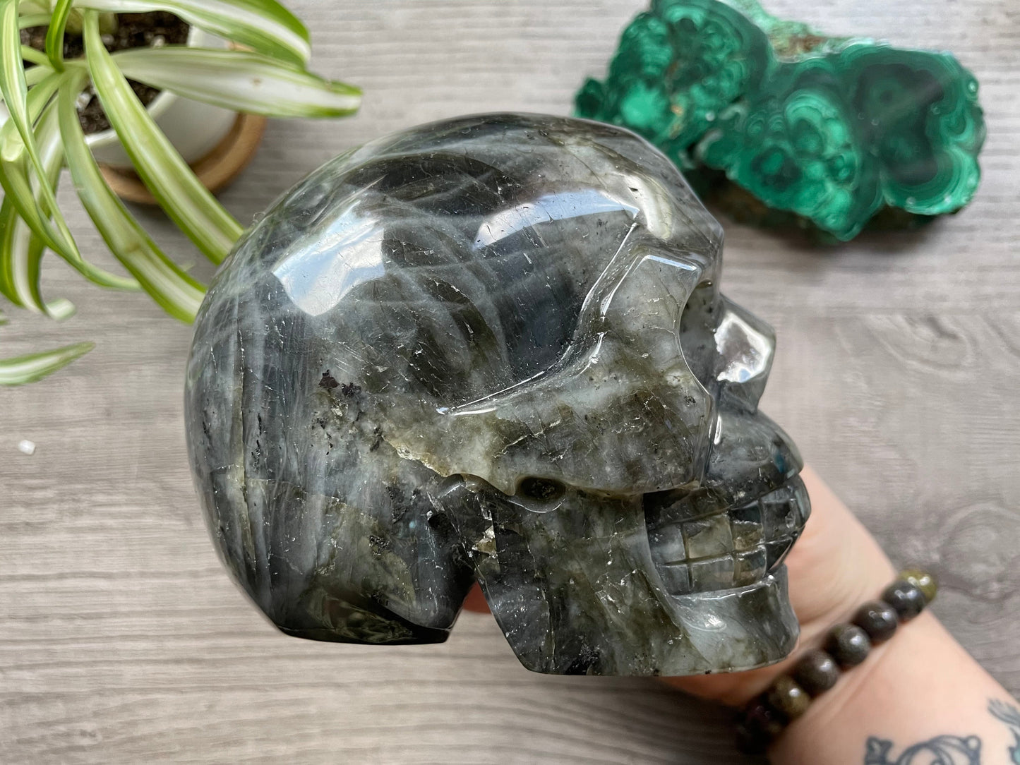 Labradorite Crystal Skull 1.2kg - The Wandering Fox Emporium, Your Metaphysical Store side