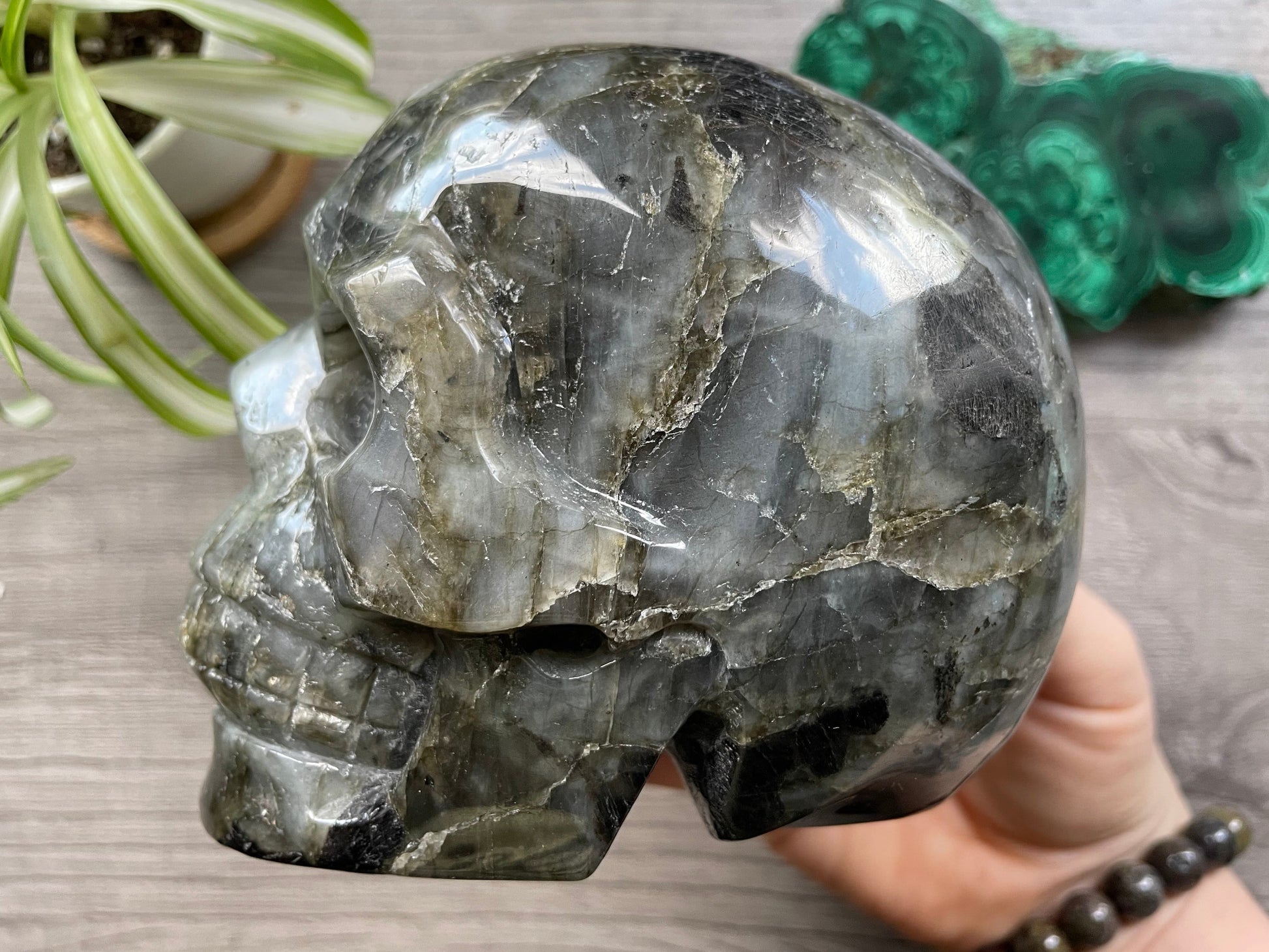 Labradorite Crystal Skull 1.2kg - The Wandering Fox Emporium, Your Metaphysical Store side 2