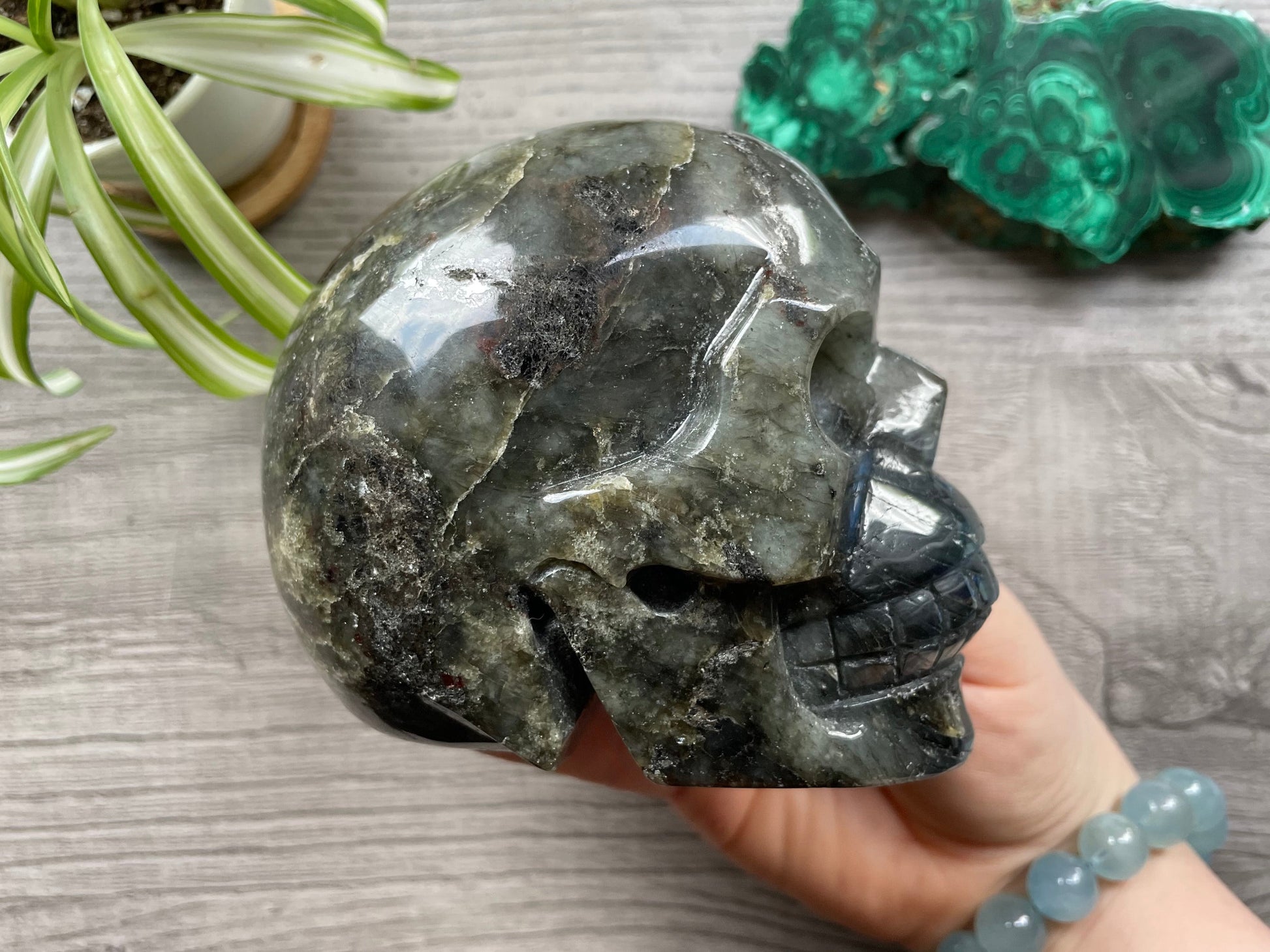 Labradorite Crystal Skull 1.15kg - The Wandering Fox Emporium, Your Metaphysical Store side
