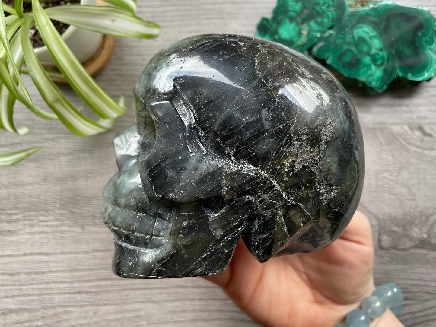 Labradorite Crystal Skull 1.15kg - The Wandering Fox Emporium, Your Metaphysical Store side 2