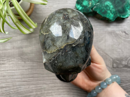 Labradorite Crystal Skull 1.15kg - The Wandering Fox Emporium, Your Metaphysical Store top