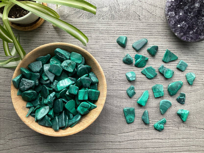 Malachite Chips (25g) Crystal selection