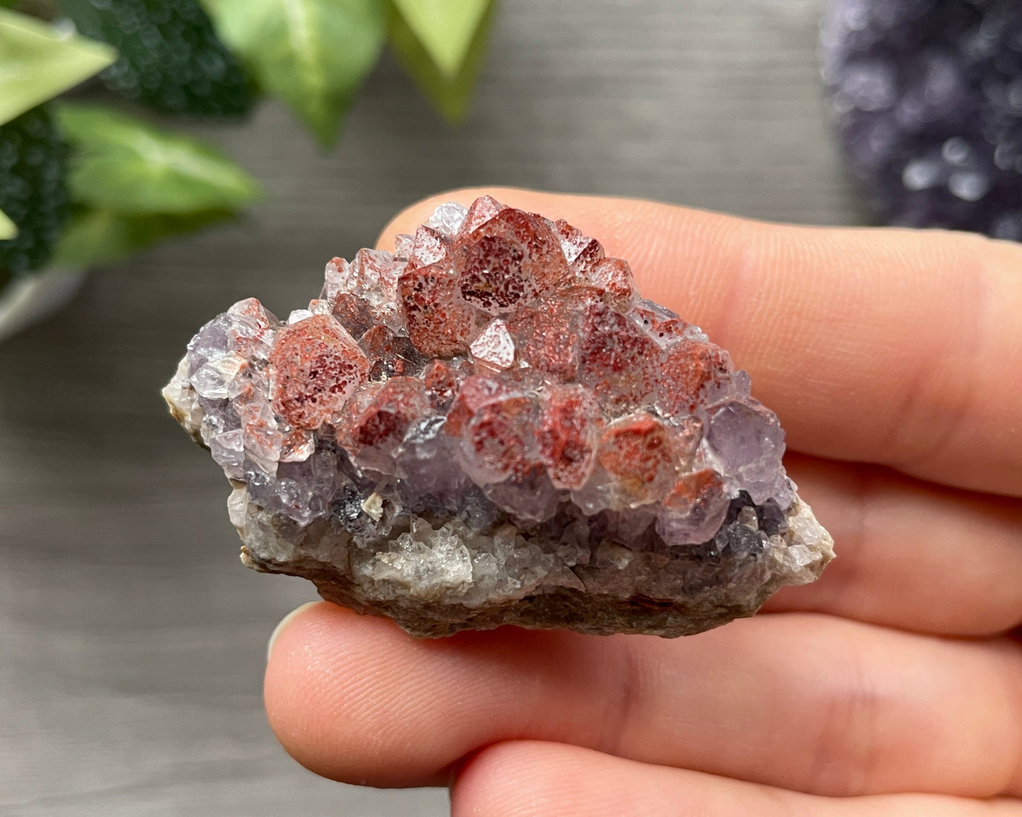 Thunder Bay Red Amethyst Crystal Cluster (T)