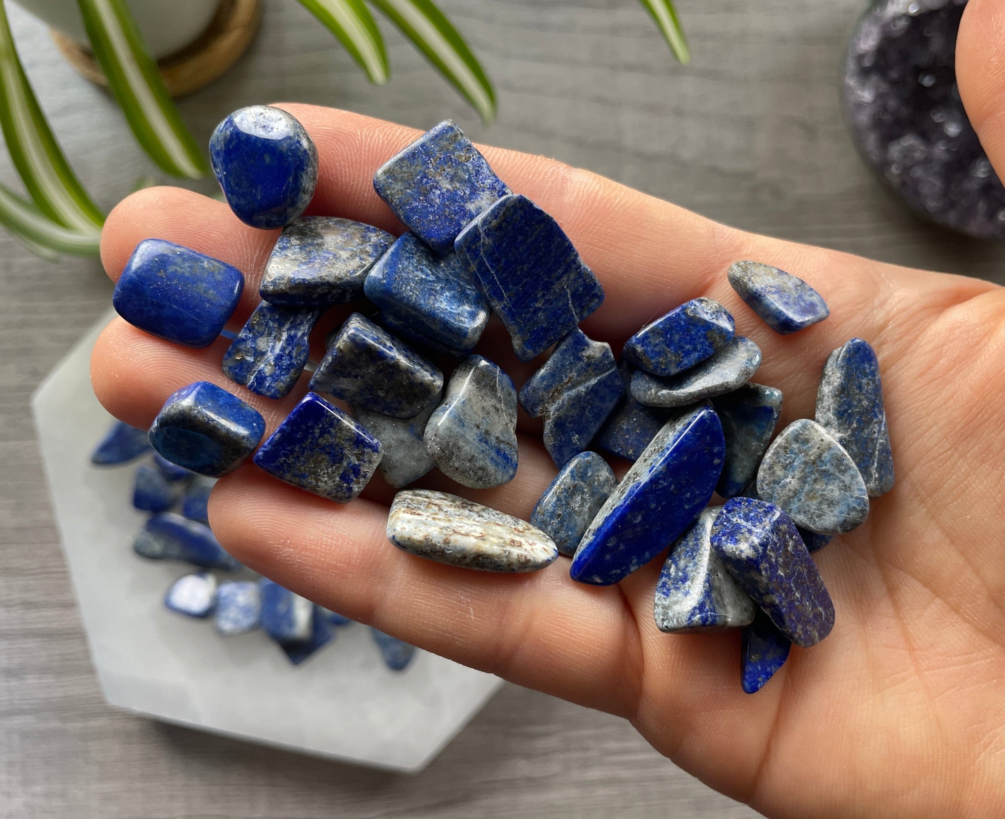 Lapis on sale lazuli chips